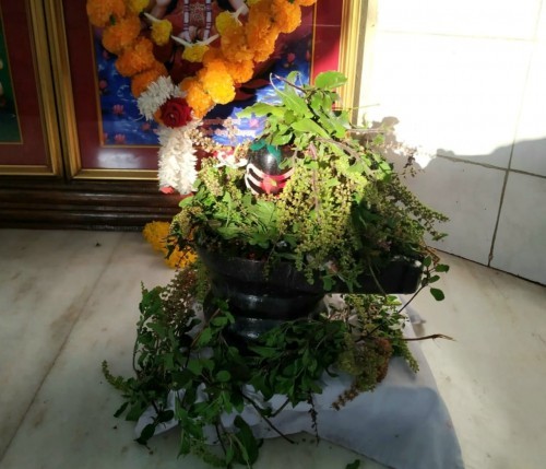 श्री स्वामी समर्थ केंद्रामध्ये वैकुंठ चतुर्दशी निमित्ताने “श्री हरी-हर” भेट संपन्न….