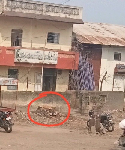 बोलठाण येथे बेकायदा वृक्षाची कत्तल
