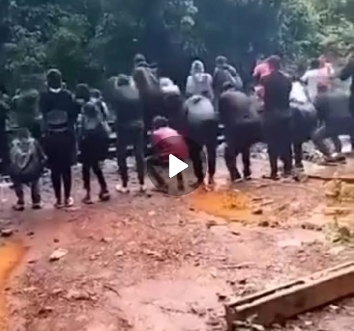 बघा व्हिडिओ – दूधसागर धबधबा पाहण्यासाठी गेले अन उठाबशा काढून परतले