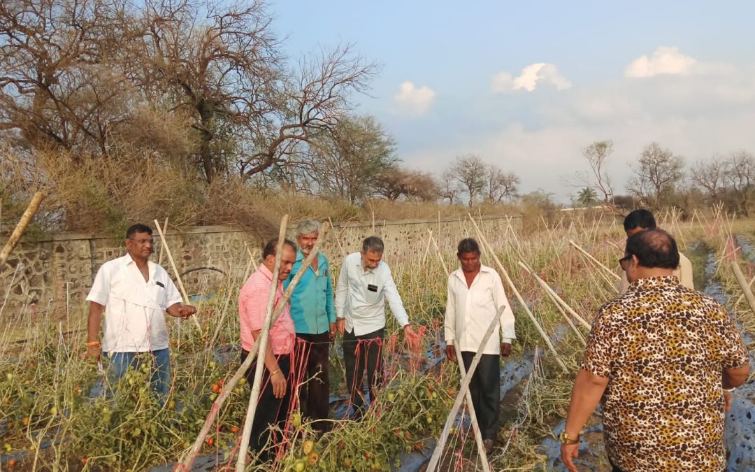 गारपीट ग्रस्त भागाची शिवसेना उद्धव बाळासाहेब ठाकरे गटाकडून पाहणी…*