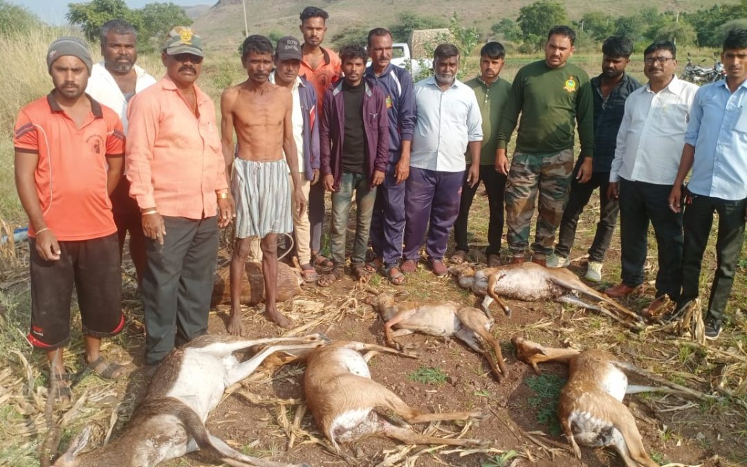 नांदगांव जळगांव बु!! विहिरीत पडून ६ हरीणांना जलसामधी ४ बचावले