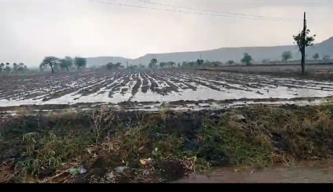 बघा व्हिडिओ : नांदगाव मनमाड सह ग्रामीण भागात गारपिटीने पिकांची हानी: भीषण पाणी टंचाईने होरपळणाऱ्या तालुका वासीयाना अस्मानी तडाखा