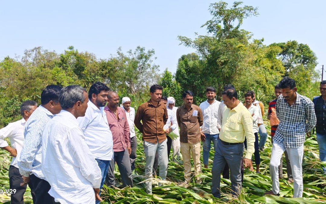 बघा व्हिडिओ – अवकाळी पाऊस आणि गारपिटीने झालेल्या नुकसानीची तहसीलदार सौंदाणे यांनी केली पाहणी