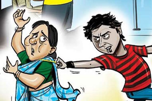 साकोरा सरताळे शिवारात चोरांनी ५० हजराची पोत लांबविली