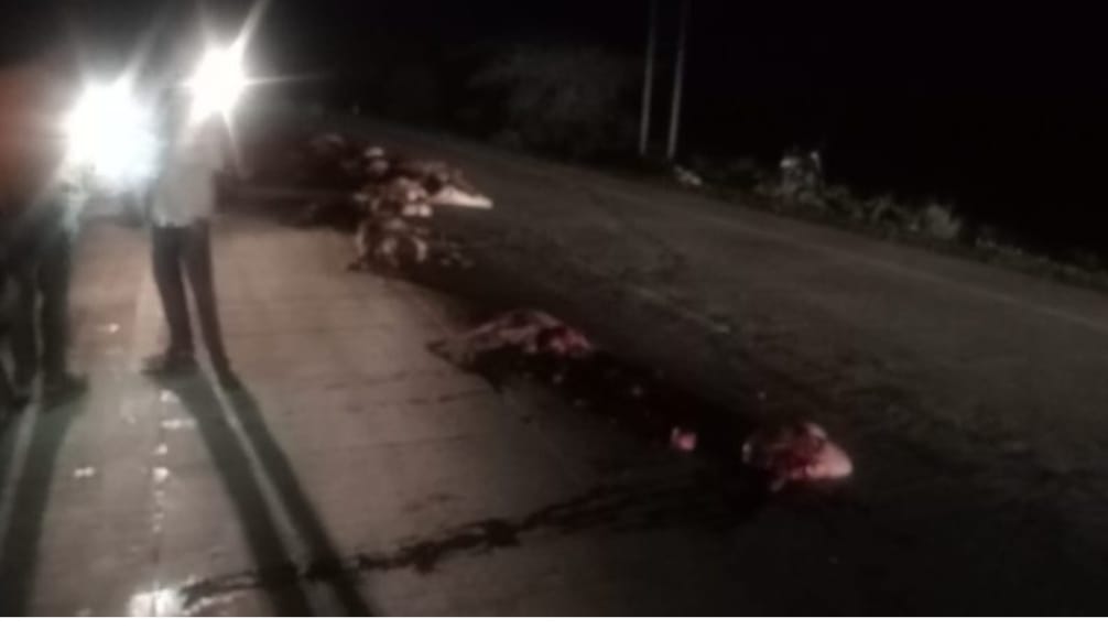 मेंढ्यांच्या कळपाला भरधाव ट्रक ने चिरडले – हिसवळ जवळ सुमारे ५० मेंढ्या ठार