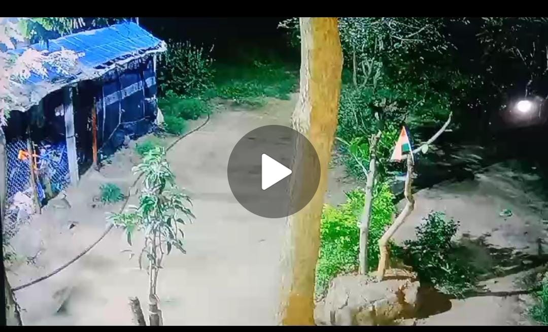 बघा व्हिडिओ-अंकाईला बिबट्याचे पुन्हा दर्शन – नागरिकांमध्ये भीतीचे वातावरण