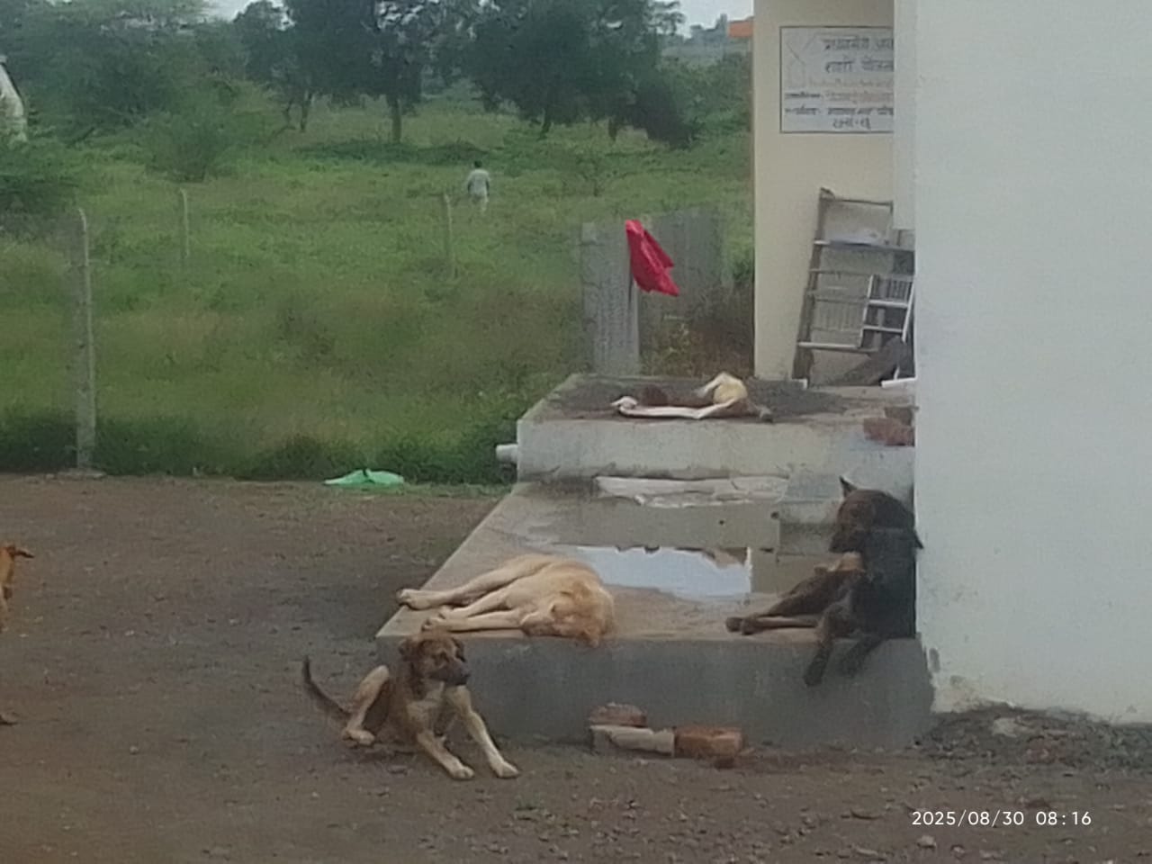 WhatsApp Image 2025-08-30 at 12.00.24_7a3ddf52